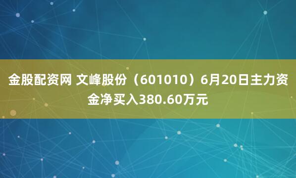 金股配资网 文峰股份（601010）6月20日主力资金净买入380.60万元
