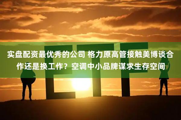 实盘配资最优秀的公司 格力原高管接触美博谈合作还是换工作？空调中小品牌谋求生存空间
