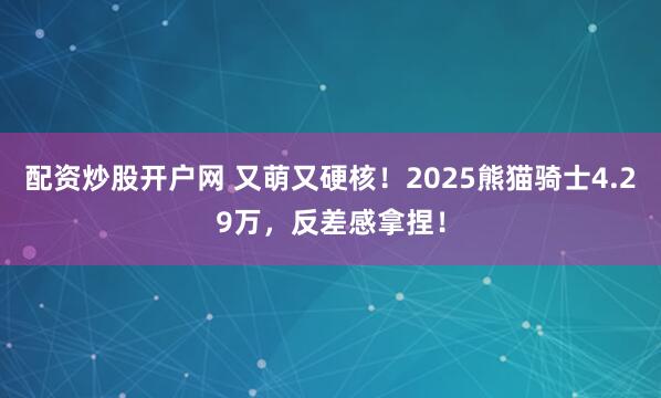 配资炒股开户网 又萌又硬核！2025熊猫骑士4.29万，反差感拿捏！
